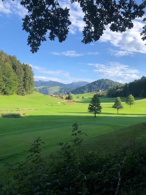 Lovely Three Bedroom Rental Unit Oberstaufen Exterior foto